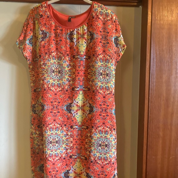 Shift Dress - Picture 3 of 5